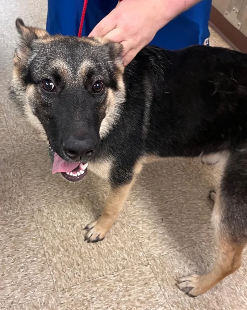 Mikasasha thumbnail 4