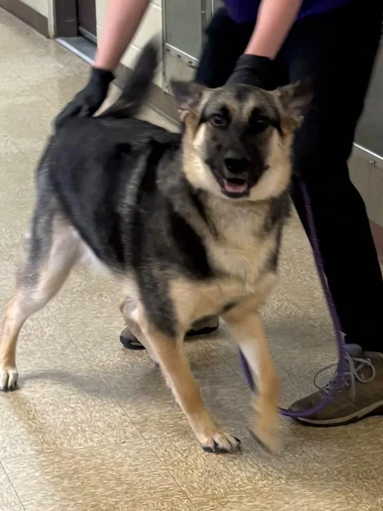 Mikasasha thumbnail 5