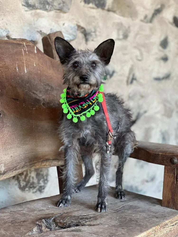 Carlitos thumbnail 2