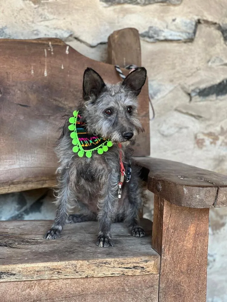 Carlitos thumbnail 3