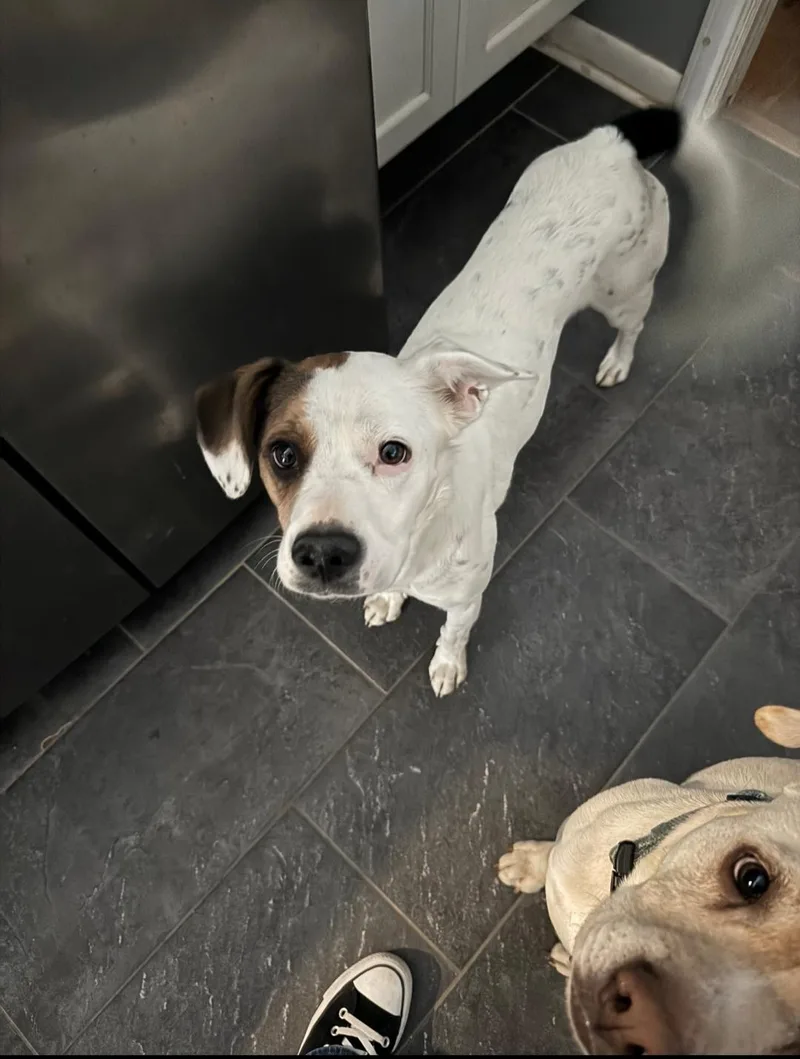 Zoe Aka Dottie thumbnail 2