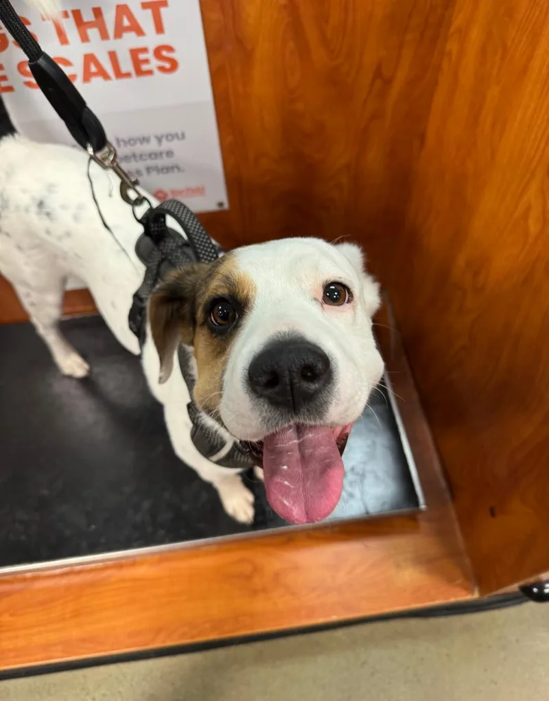 Zoe Aka Dottie thumbnail 3