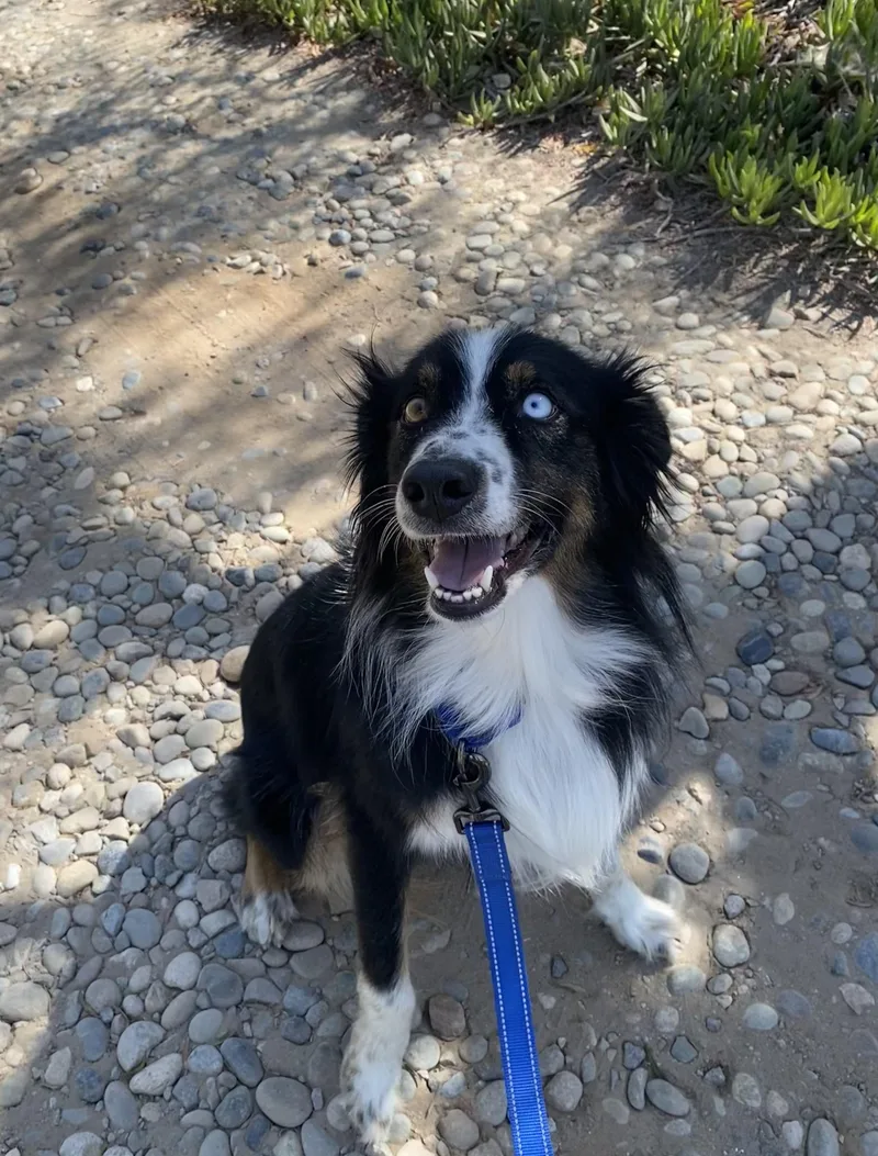 Tucker