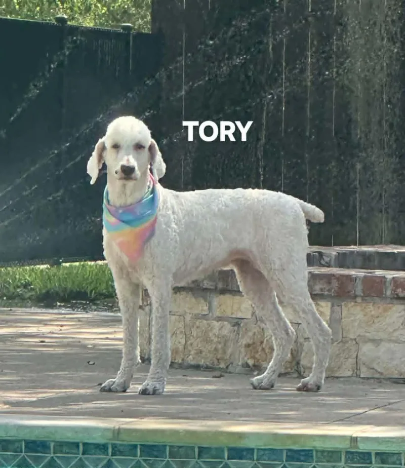 Tory  Raven And thumbnail 3
