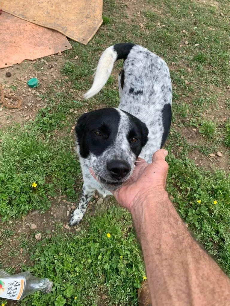 Fuzz Aka Fuzzly thumbnail 5