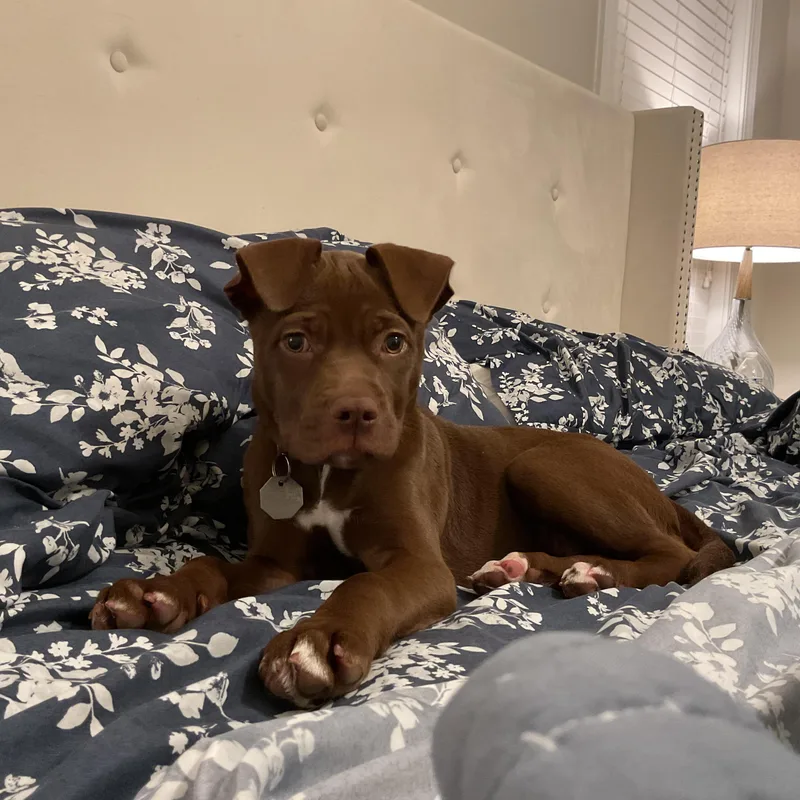 Ruby