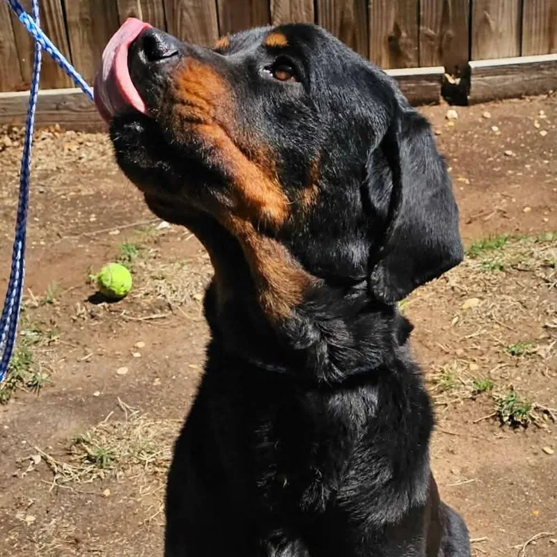 Maverick thumbnail 5