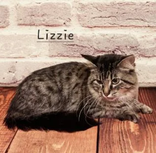 Lizzie realbeauty thumbnail 2