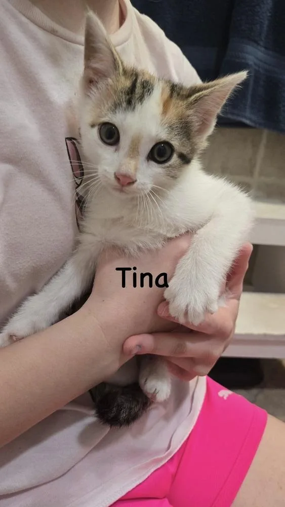 Tina thumbnail 2