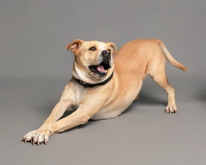 Franklin thumbnail 2