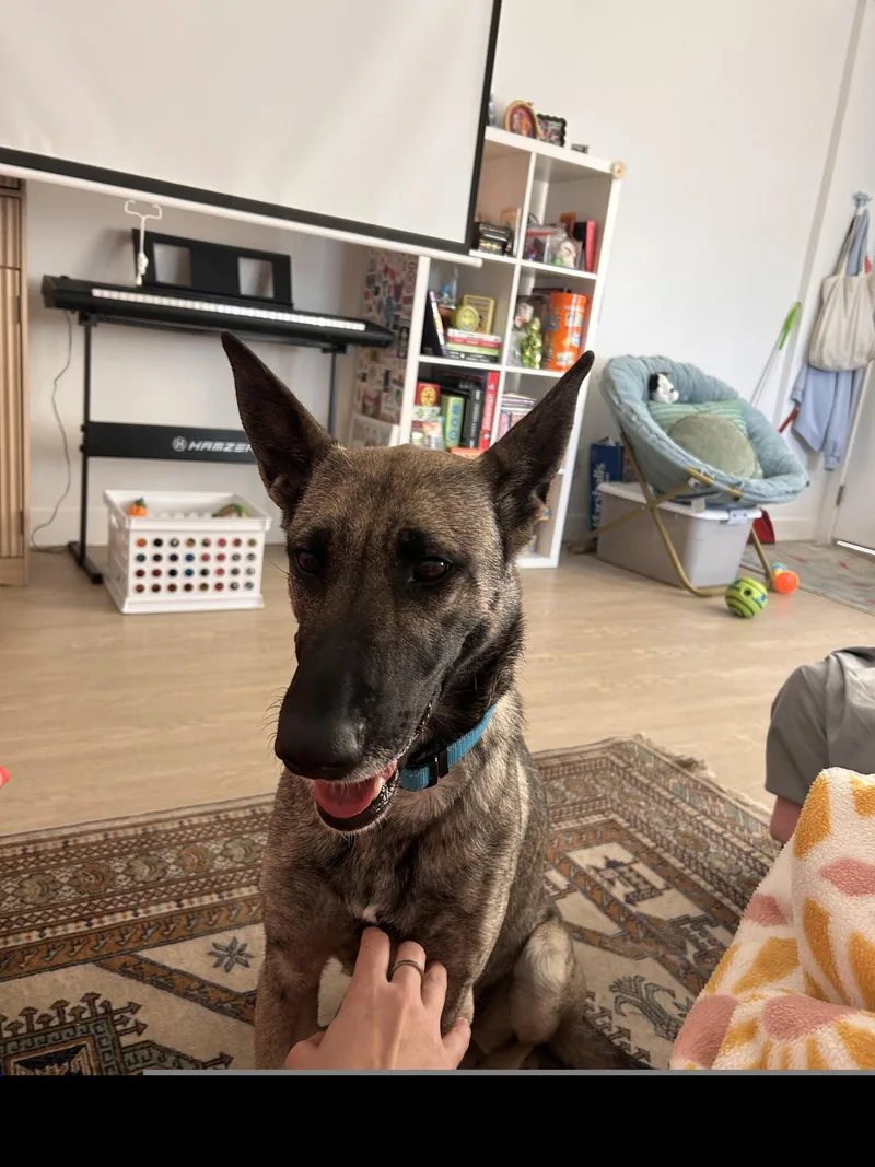 Honey Roo