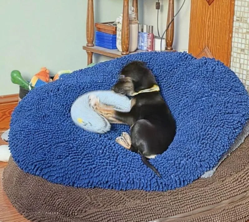 Mateomeet And Greet thumbnail 3