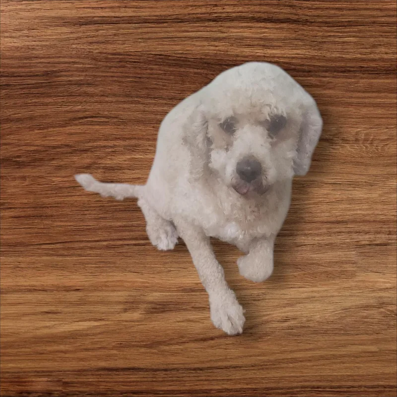 Apple thumbnail 3