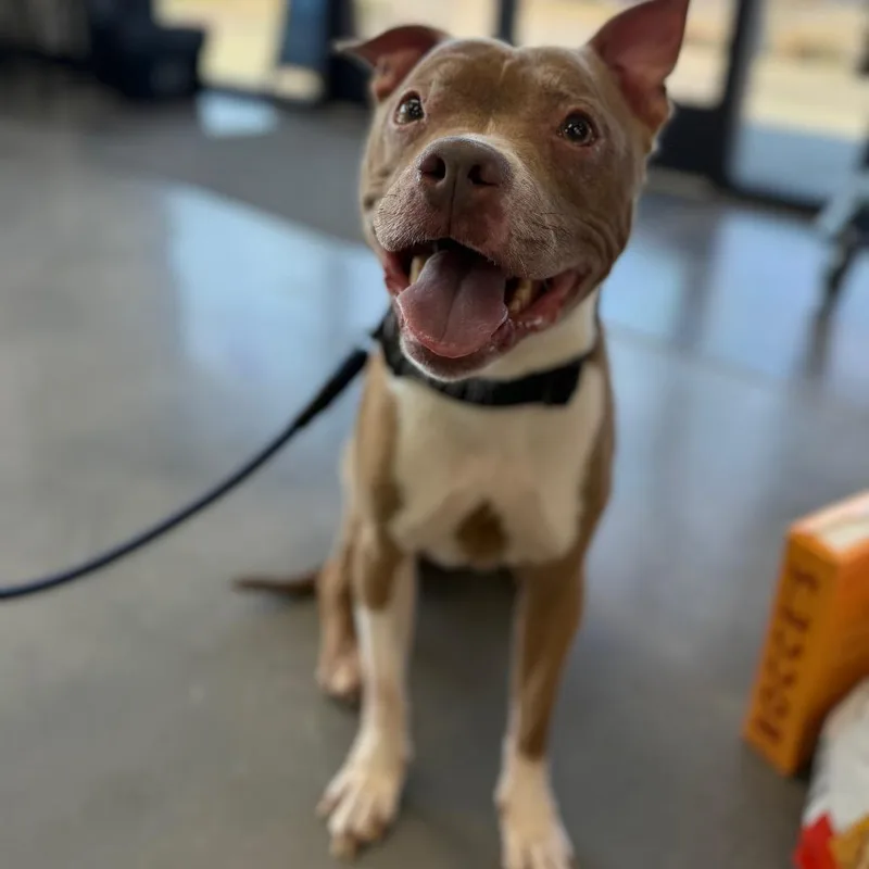 Evelyn thumbnail 2
