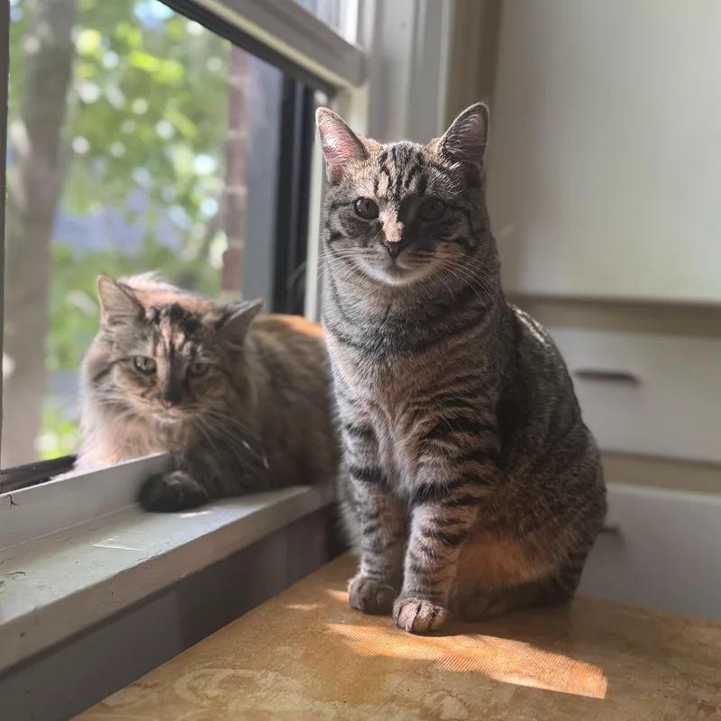 Pumpkin & Stu thumbnail 5
