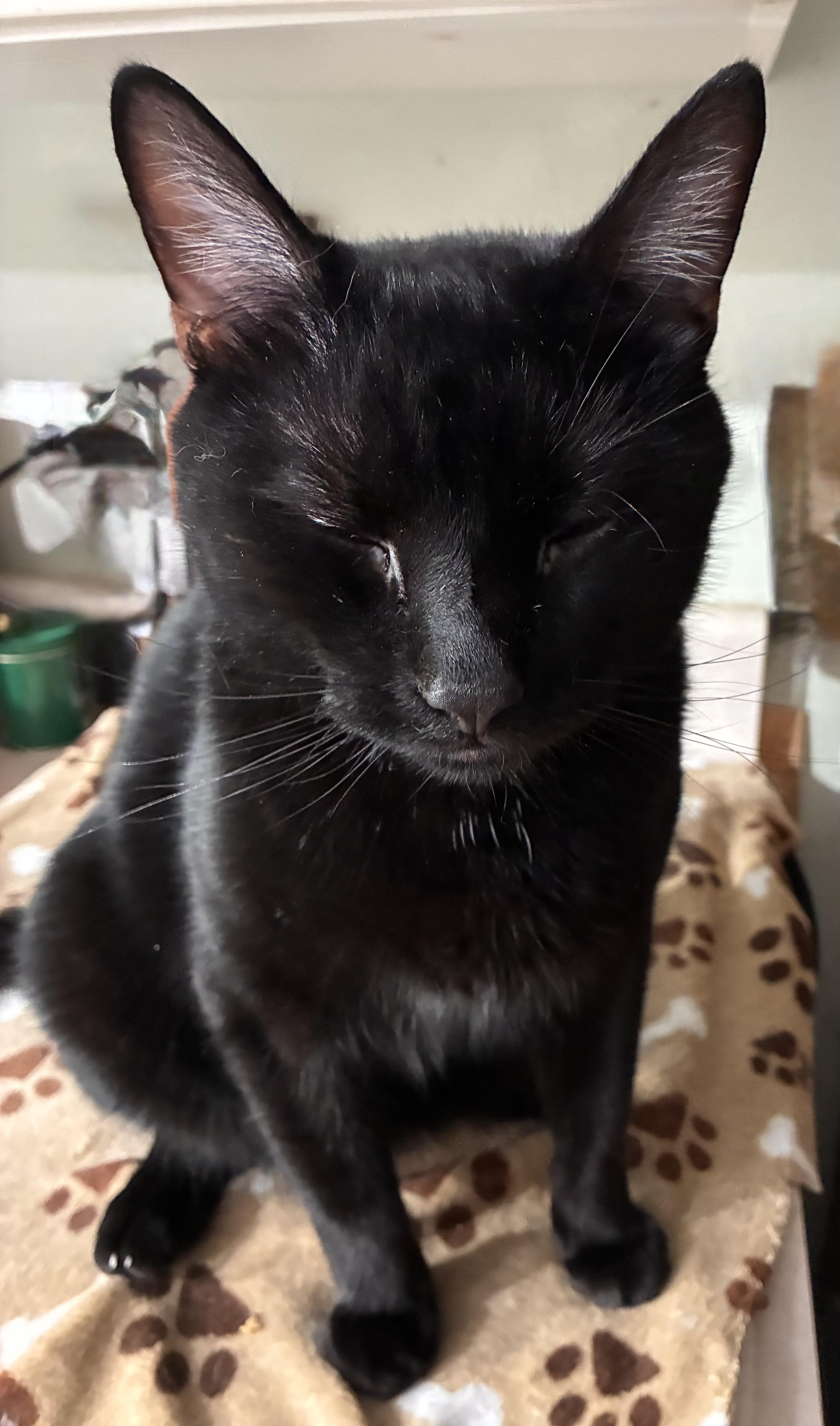 Baxter thumbnail 2