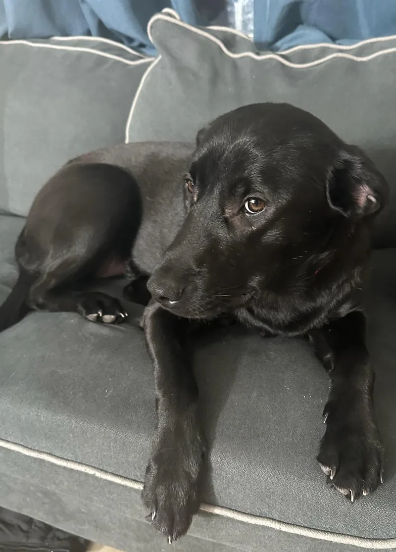 Rabbitbella thumbnail 6