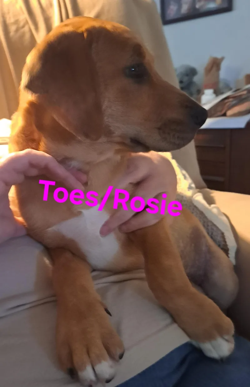 Toes thumbnail 3