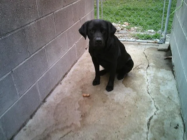 Maggiebelle thumbnail 3