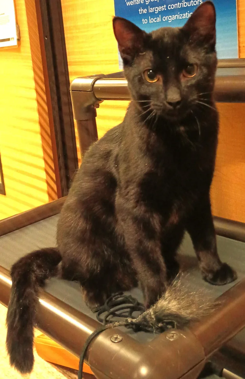 Jethro thumbnail 2