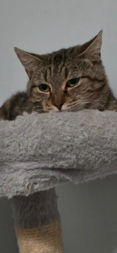 Charlie thumbnail 4