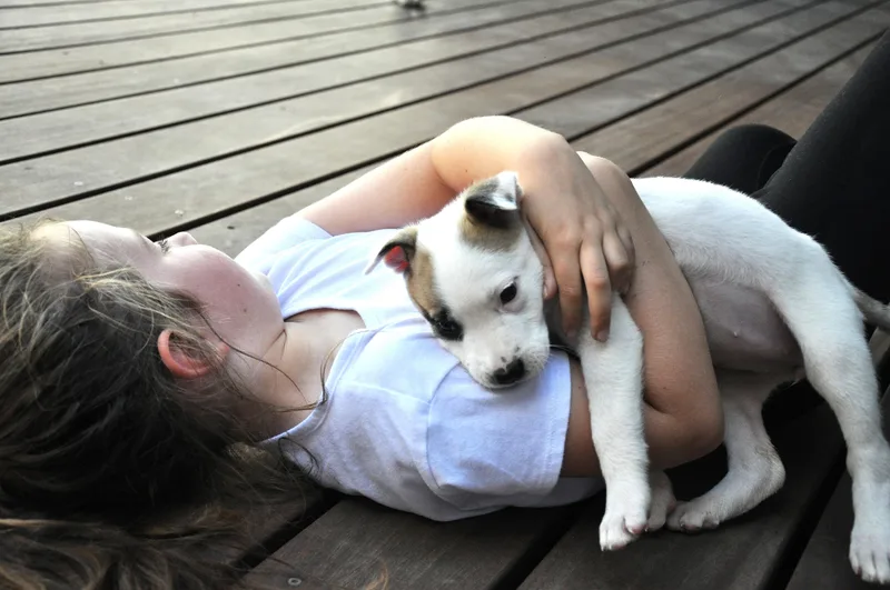 BoPeep thumbnail 6