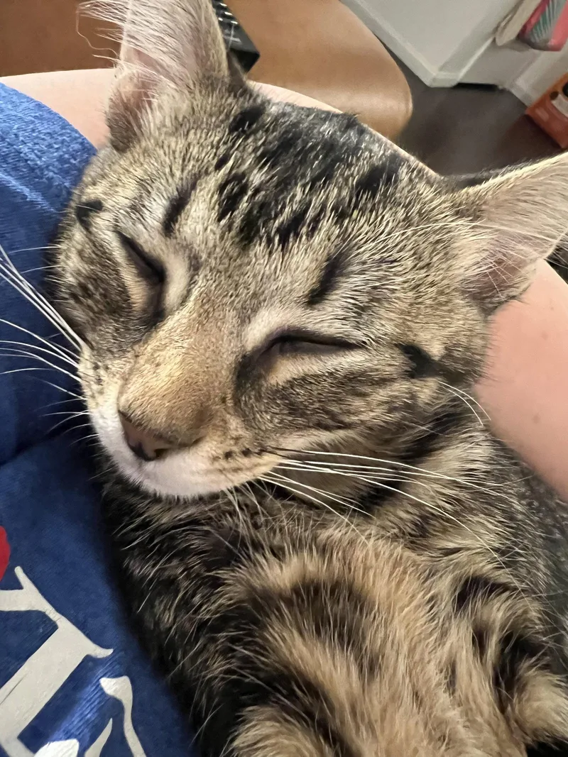 Dumpling thumbnail 2