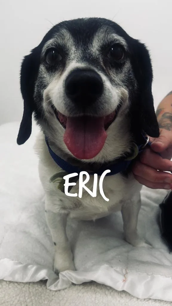 Eric