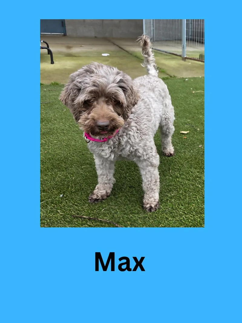 Max