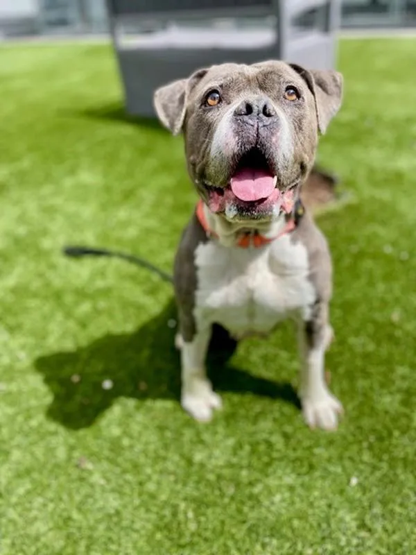 Baby Dee thumbnail 2