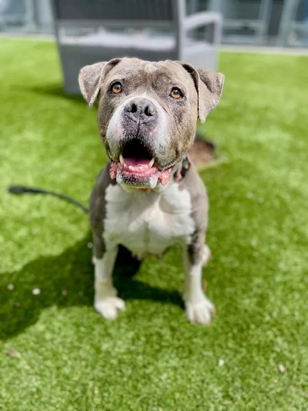 Baby Dee thumbnail 3