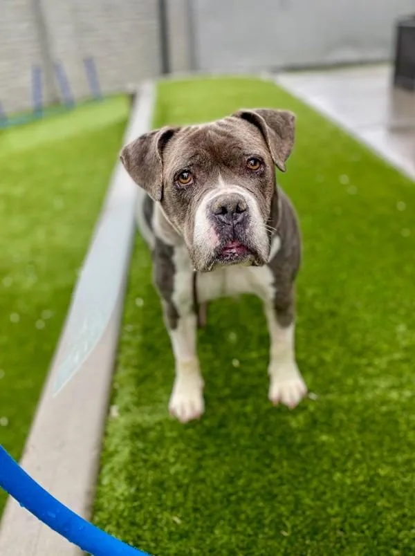 Baby Dee thumbnail 4