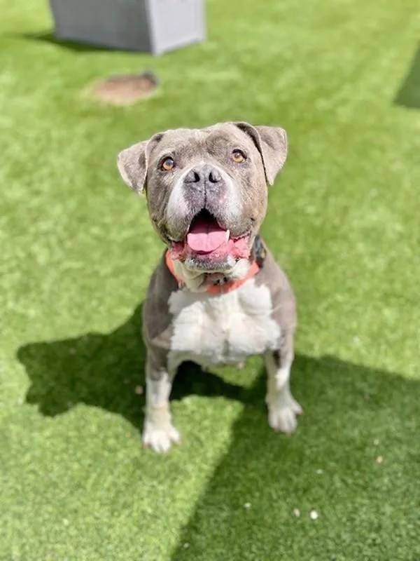 Baby Dee thumbnail 5