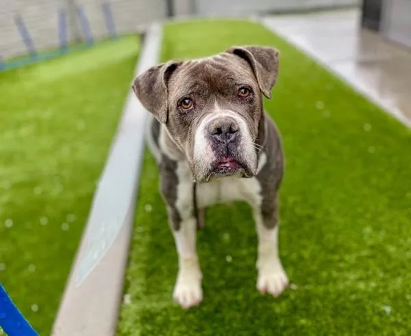 Baby Dee thumbnail 6