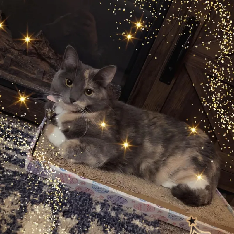 Luna