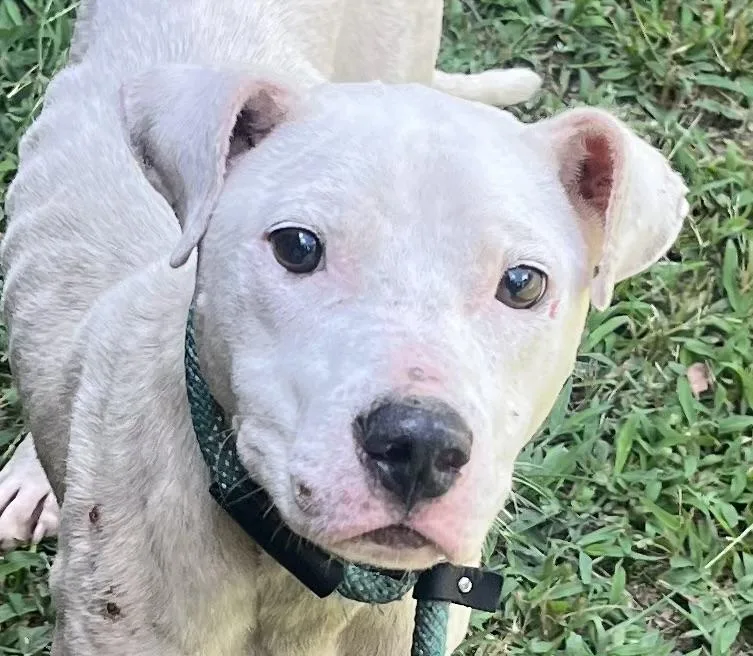 Coolio  Sweet  thumbnail 2