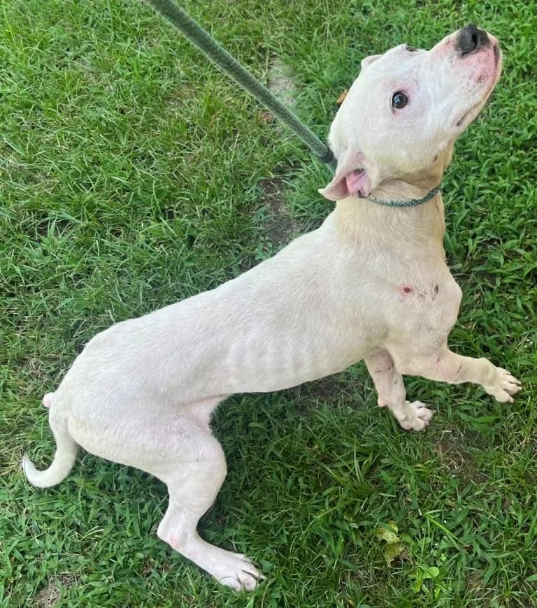 Coolio  Sweet  thumbnail 3