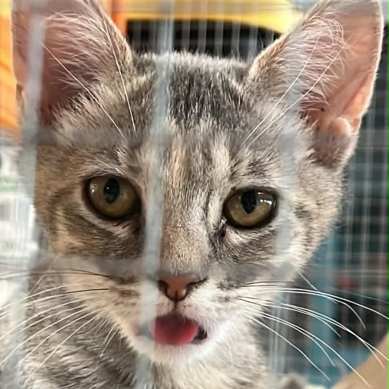 Quinn