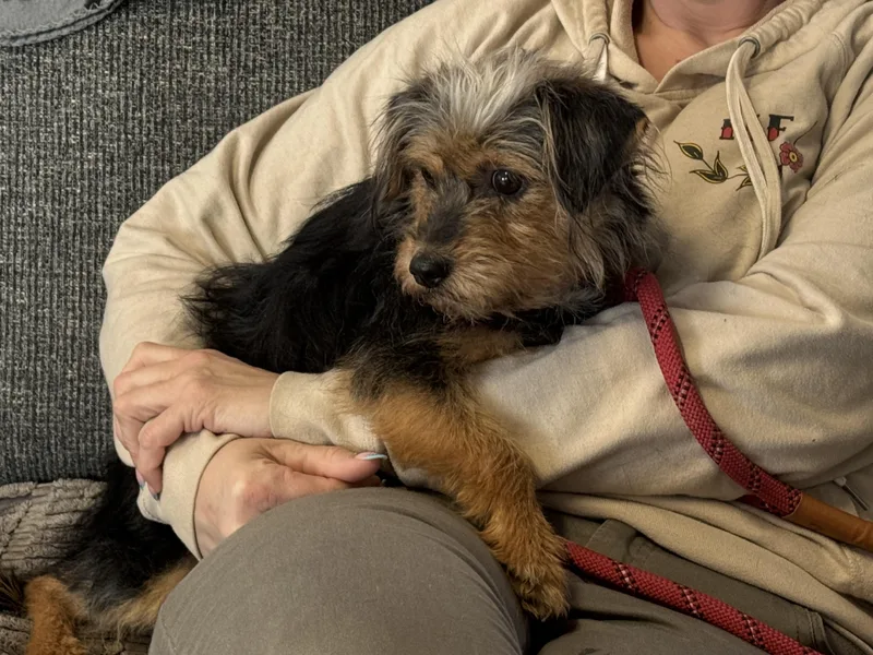 Southpaw thumbnail 2