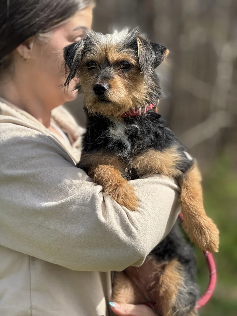 Southpaw thumbnail 3