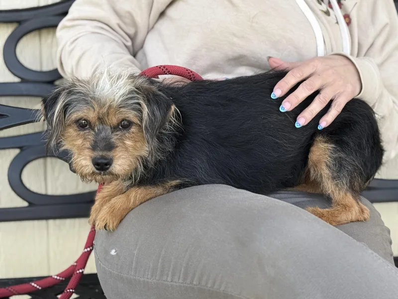 Southpaw thumbnail 4