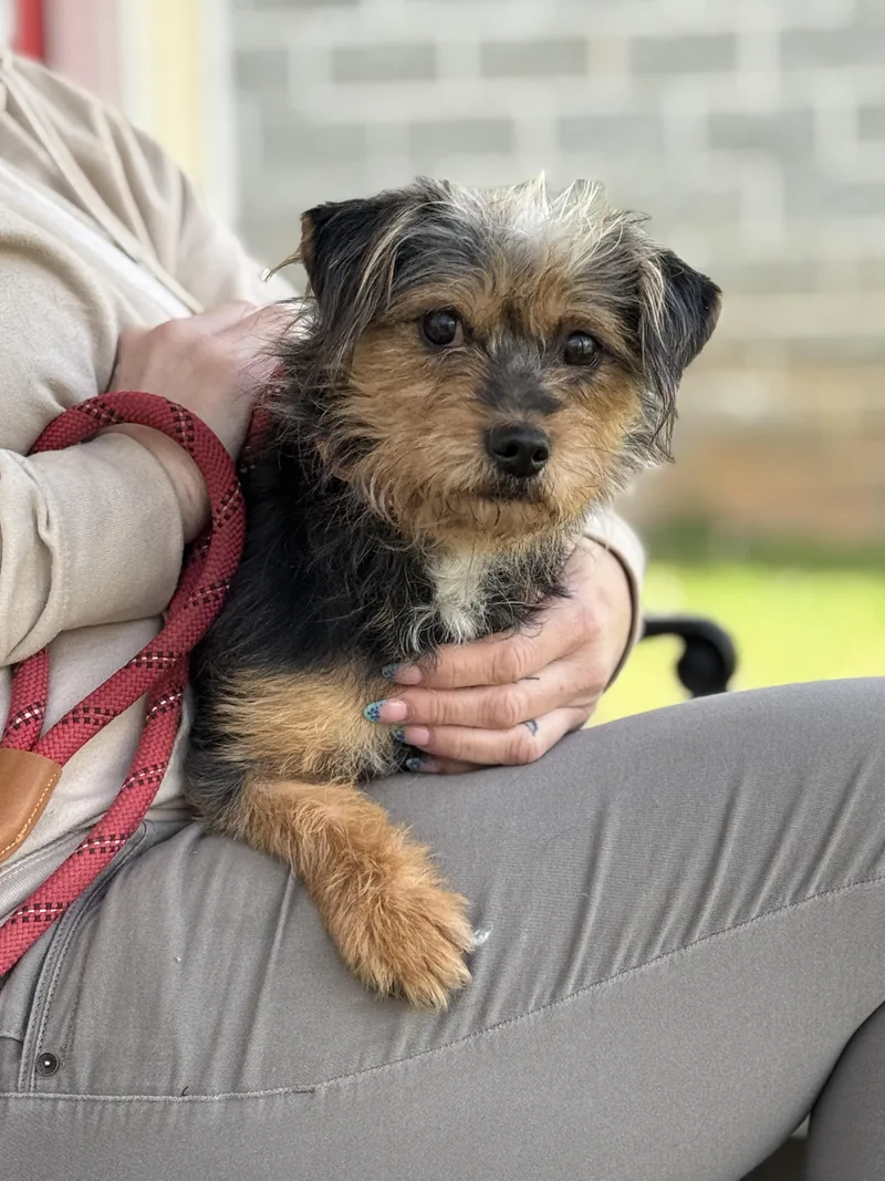 Southpaw thumbnail 5