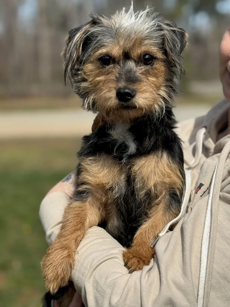 Southpaw thumbnail 6