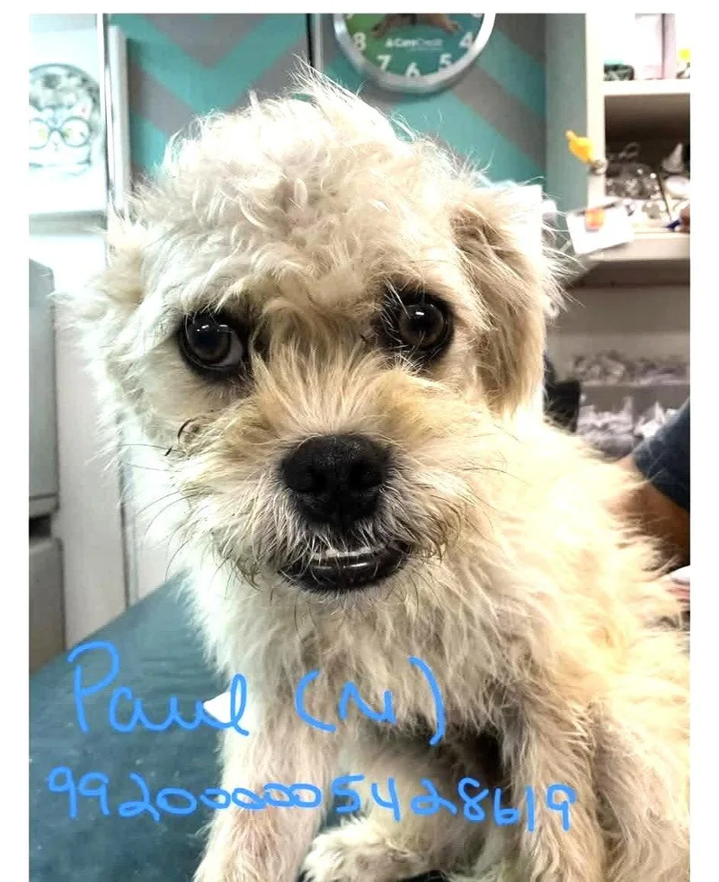 Paul Jb In Tx thumbnail 2