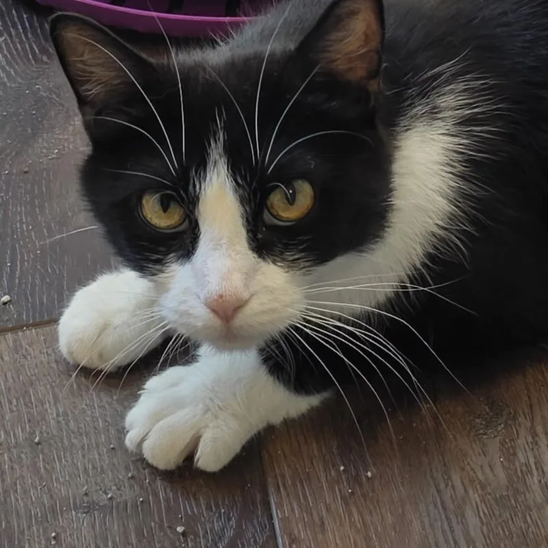 Minnie thumbnail 2
