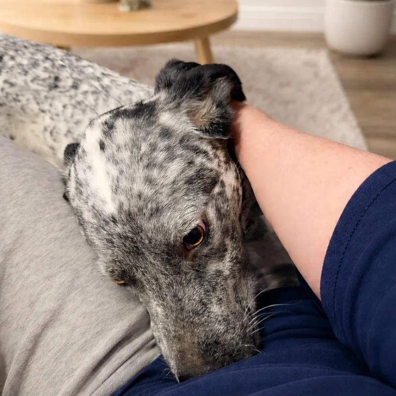 Trudy thumbnail 5