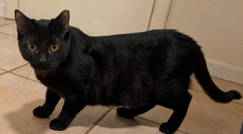 Tirzah & Ignacio thumbnail 2