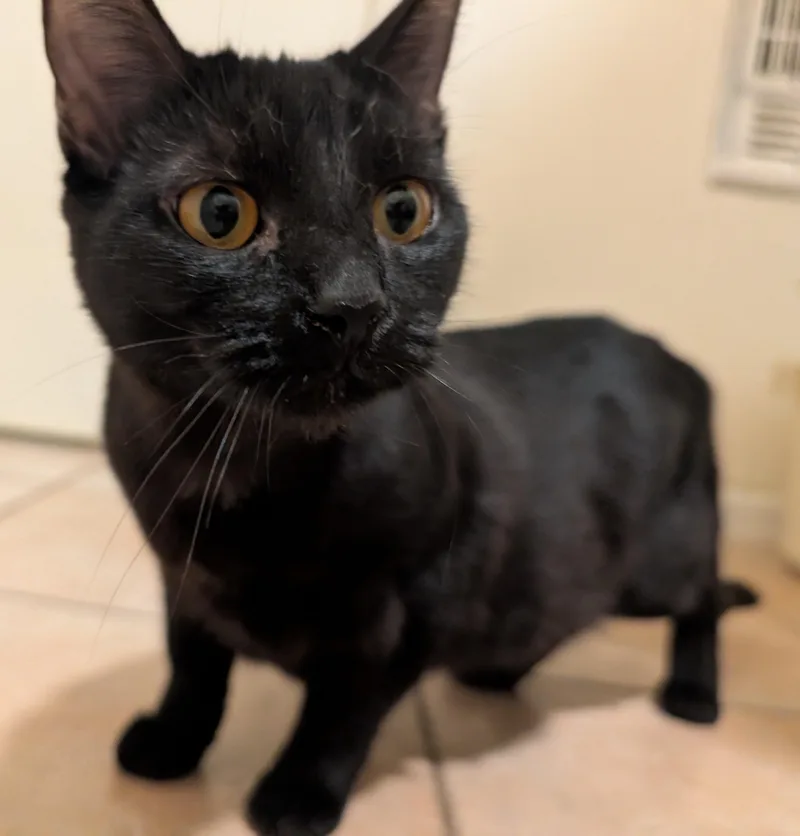 Tirzah & Ignacio thumbnail 3