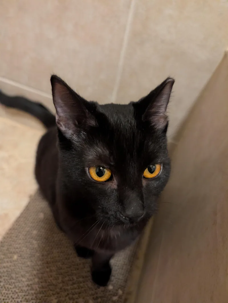 Tirzah & Ignacio thumbnail 5