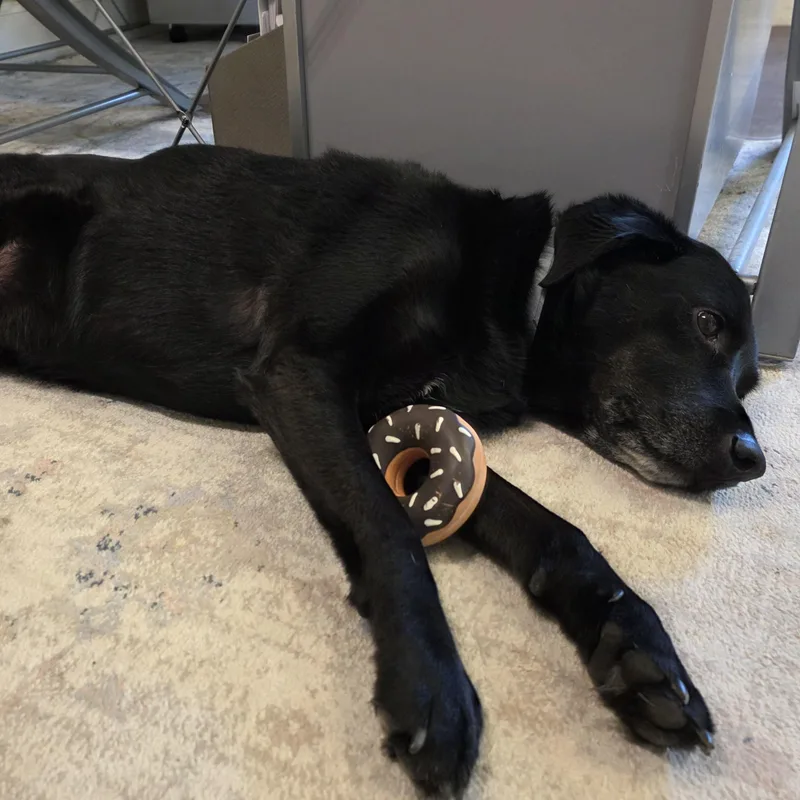 Shadow